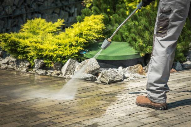 Animal Enclosure Cleaning in Fern Prairie, WA